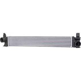 Kjøp Intercooler av DIEDERICHS DCA1138 til den lave prisen 2275,70 NOK
