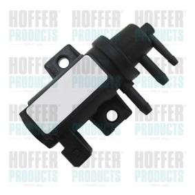 Druckwandler, Turbolader 8029814 von HOFFER günstig für 100,11 € online kaufen