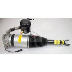 Luftfederbein DAS10122 von Dunlop günstig für 1385,89 € online kaufen