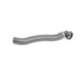 Compre Tubo flexível do radiador da BSG BSG 25-720-035 a um preço baixo por 43,26 €