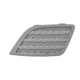 Lüftungsgitter, Stoßfänger BSG 30-921-027 von BSG günstig für 31,39 € online kaufen