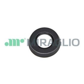 Türgriff, Innenausstattung 110/34 von MIRAGLIO günstig für 3,06 € online kaufen