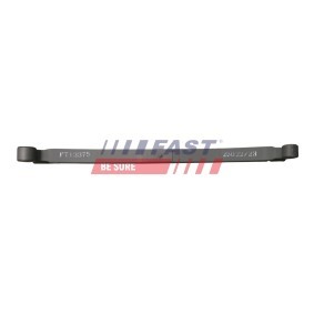 Achsschenkel, Radaufhängung FT13542 von FAST günstig für 49,08 € online kaufen