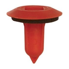 Clip, Zier- / Schutzleiste 10531 von RESTAGRAF günstig für 7,69 € online kaufen