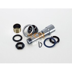 Acquista Kit riparazione, Perno fuso a snodo da CEI 230.096 a buon mercato per soli 153,05 €