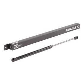 Compre Amortecedor da mala da RIDEX 219G0864 a um preço baixo por 11,84 €