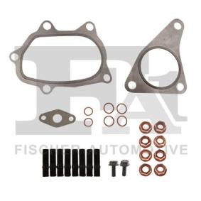 Comprar Juego de montaje, turbocompresor de FA1 KT720080 a bajo precio de 27,37 €