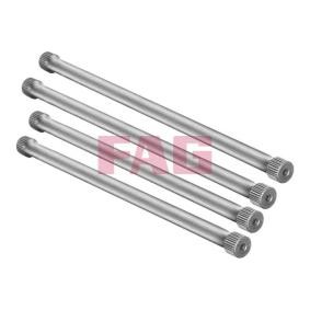Fahrwerksatz, Federn 813 0001 30 von FAG günstig für 26,61 € online kaufen