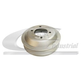 Riemenscheibe, Wasserpumpe 10117 von 3RG günstig für 46,99 € online kaufen