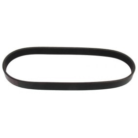 Compre Correia trapezoidal estriada da MAPCO 260701E a um preço baixo por 14,18 €