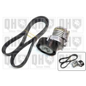 Acquista Kit Cinghie Poly-V da QUINTON HAZELL QDK39 a buon mercato per soli 87,91 €