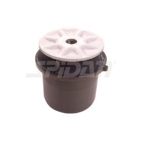 Achskörperlager 412099 von SPIDAN CHASSIS PARTS günstig für 34,56 € online kaufen