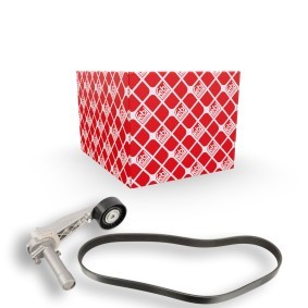Compre Jogo de correias trapezoidais estriadas da FEBI BILSTEIN 107427 a um preço baixo por 69,36 €