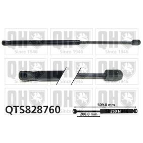 Achetez des Vérin de coffre QUINTON HAZELL QTS828760 à prix pour 35,96 €