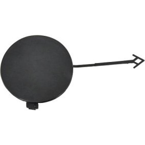 Klappe, Abschlepphaken 1019064 von DIEDERICHS günstig für 10,49 € online kaufen