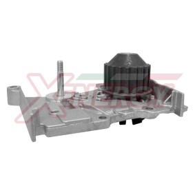 Wasserpumpe X200891 von AP XENERGY günstig für 74,24 € online kaufen