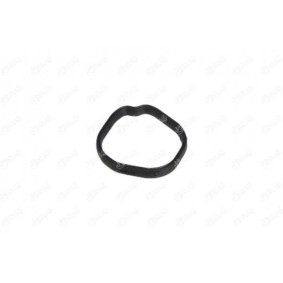 Dichtung, Thermostatgehäuse 21243 von IBRAS günstig für 7,18 € online kaufen