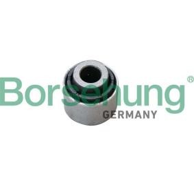 Acquista Supporto braccio oscillante da Borsehung B19166 a buon mercato per soli 7,92 €