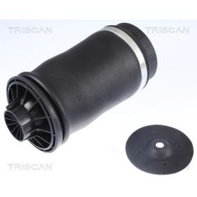 Luftfeder, Fahrwerk 8720 23204 von TRISCAN günstig für 226,78 € online kaufen
