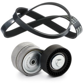 Achetez des Jeu de courroies trapézoïdales à nervures RIDEX 542R0408 à prix pour 46,15 €