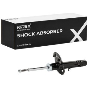 Stoßdämpfer von RIDEX