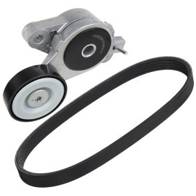 Achetez des Kit de distribution + pompe à eau RIDEX 3096W0233 à prix pour 250,76 €