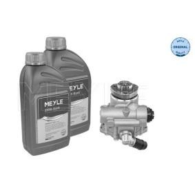 Comprar Bomba de dirección de MEYLE 114 631 0010/S a bajo precio de 181,55 €