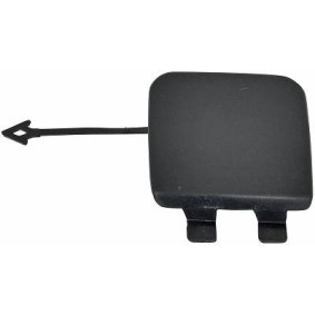 Klappe, Abschlepphaken 1020068 von DIEDERICHS günstig für 11,83 € online kaufen