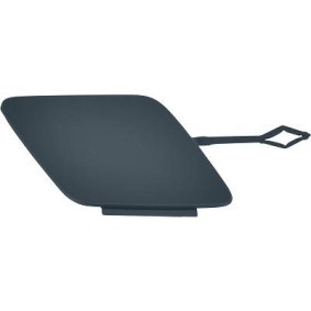 Klappe, Abschlepphaken 1617164 von DIEDERICHS günstig für 17,75 € online kaufen