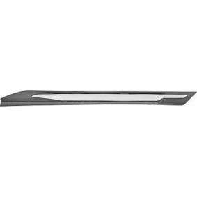 Acquista Modanatura paraurti da DIEDERICHS 4236422 a buon mercato per soli 39,04 €