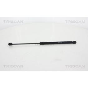Heckklappendämpfer 8710 25264 von KAWE günstig für 27,63 € online kaufen