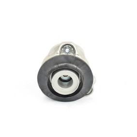 Compre Suporte de apoio do conjunto mola / amortecedor da BSG BSG 25-700-020 a um preço baixo por 115,58 €