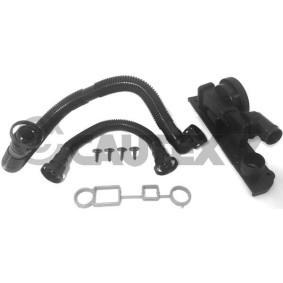 Compre Válvula, respiro do cárter da cambota da CAUTEX 462616 a um preço baixo por 189,01 €