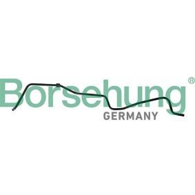 Comprar Tubo flexible, ventilación bloque motor de Borsehung B19264 a bajo precio de 12,56 €