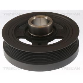 Riemenscheibe, Kurbelwelle 8643 13002 von TRISCAN günstig für 366,58 € online kaufen
