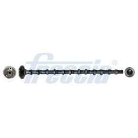 Nockenwelle CM05-2354 von FRECCIA günstig für 198,74 € online kaufen