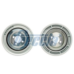 Riemenscheibe, Kurbelwelle PUL11-121 von FRECCIA günstig für 55,03 € online kaufen