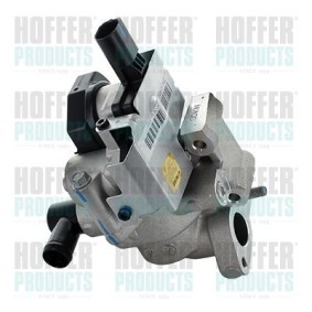 Comprar Válvula EGR de HOFFER 7518856 a bajo precio de 459,55 €