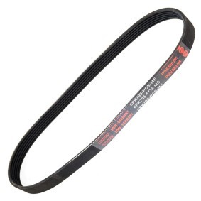 Achetez des Courroie Poly-V MASTER-SPORT 6PK795-PCS-MS à prix pour 11,98 €