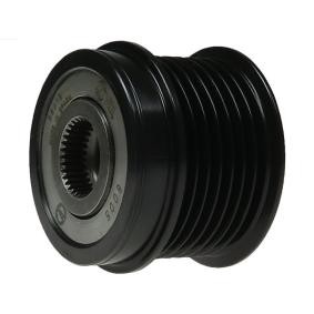 Generatorfreilauf AFP6075S von AS-PL günstig für 75,26 € online kaufen