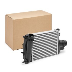 Achetez des Intercooler RIDEX 468I0213 à prix pour 61,85 €