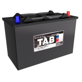 Batterie 116405 von TAB günstig für 147,91 € online kaufen