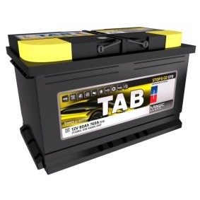 Batterie 212080 von TAB günstig für 145,10 € online kaufen