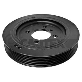 Acquista Puleggia cinghia albero a gomiti da CAUTEX 754664 a buon mercato per soli 183,66 €