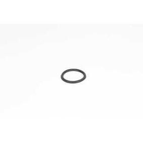 Dichtung, Thermostat BSG 75-116-008 von BSG günstig für 2,81 € online kaufen