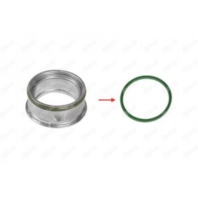 Dichtring, Ladeluftschlauch 27236 von IBRAS günstig für 6,21 € online kaufen