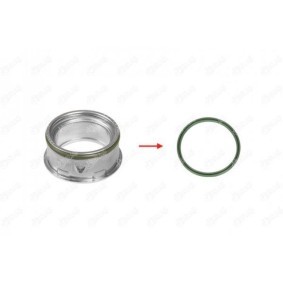 Dichtring, Ladeluftschlauch 27249 von IBRAS günstig für 7,43 € online kaufen