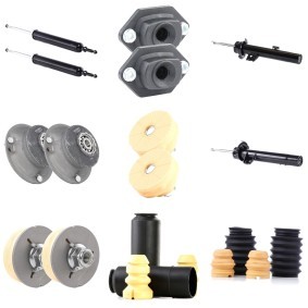 Fahrwerkssatz, Federn / Dämpfer des Herstellers RIDEX - Originalware Artikelnummer: 1185S0039