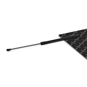 Köp Gasfjäder till baklucka av RIDEX 219G1001 till det låga priset 275,50 kr