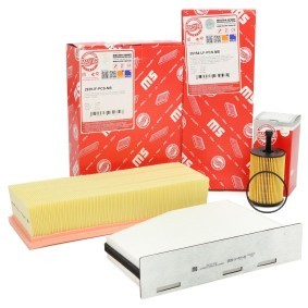 Filterset 450001992 von MASTER-SPORT günstig für 16,67 € online kaufen